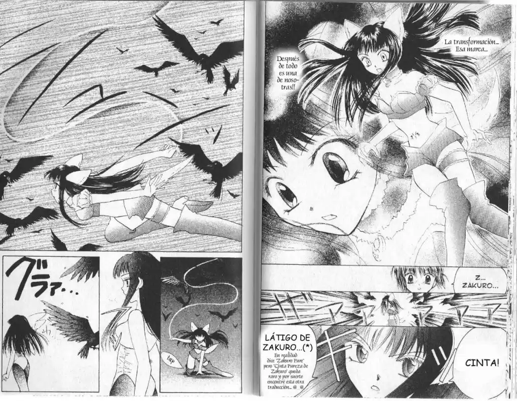 Tokyo Mew Mew (Mew Mew Power) (2000) - Capítulo 6 - Página 14 - LectorTMOo