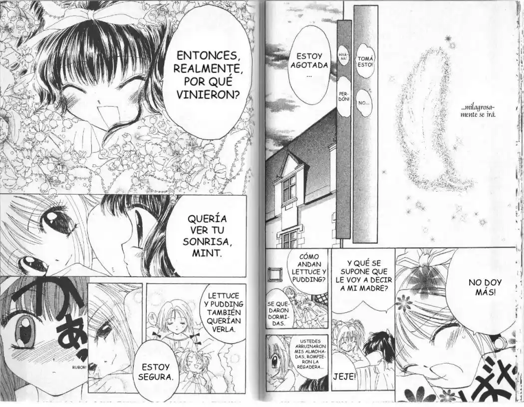 Tokyo Mew Mew (Mew Mew Power) (2000) - Capítulo 7 - Página 12 - LectorTMOo