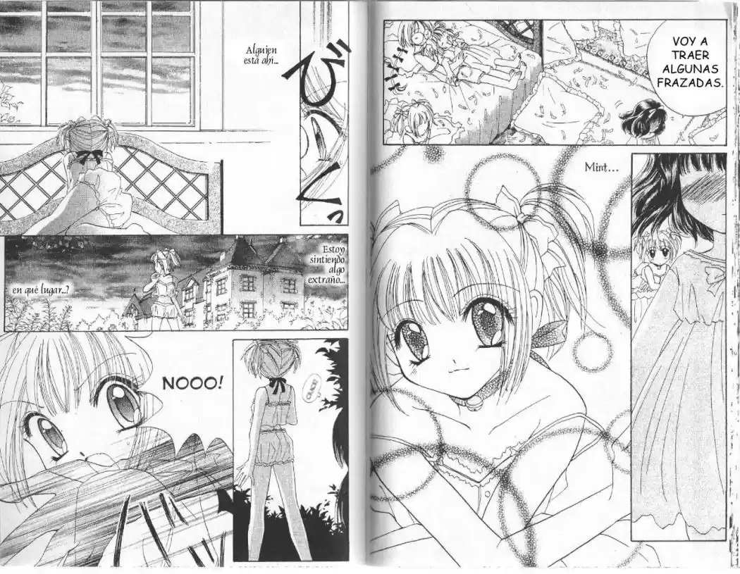 Tokyo Mew Mew (Mew Mew Power) (2000) - Capítulo 7 - Página 13 - LectorTMOo