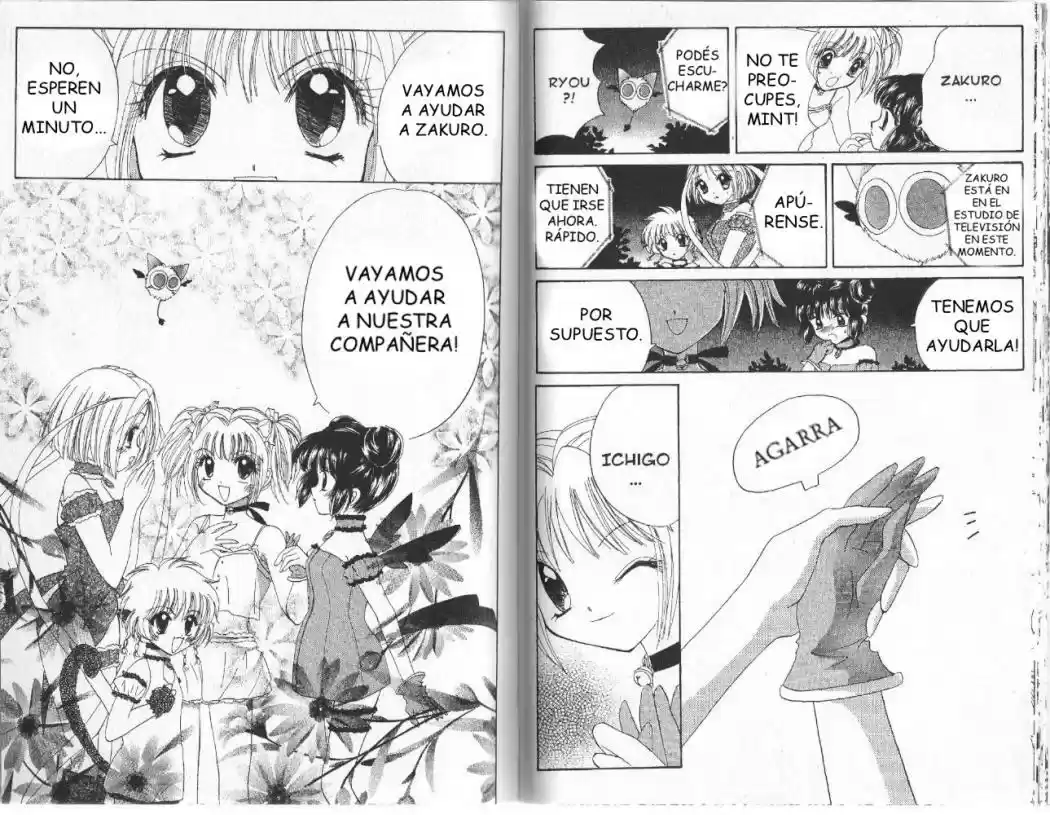 Tokyo Mew Mew (Mew Mew Power) (2000) - Capítulo 7 - Página 16 - LectorTMOo