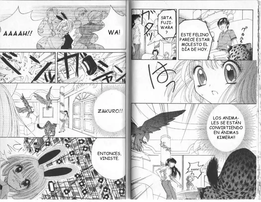 Tokyo Mew Mew (Mew Mew Power) (2000) - Capítulo 8 - Página 5 - LectorTMOo