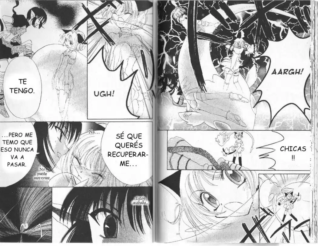 Tokyo Mew Mew (Mew Mew Power) (2000) - Capítulo 8 - Página 10 - LectorTMOo