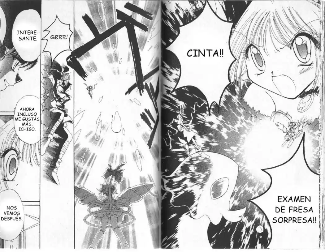 Tokyo Mew Mew (Mew Mew Power) (2000) - Capítulo 8 - Página 13 - LectorTMOo