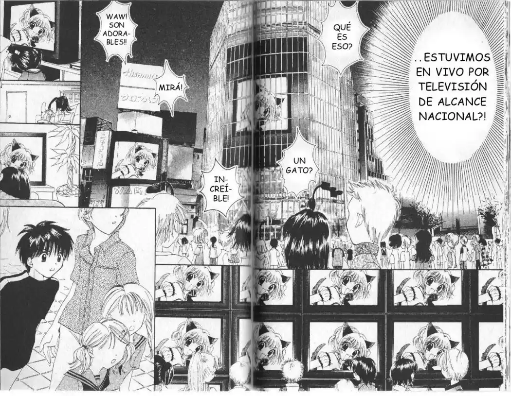 Tokyo Mew Mew (Mew Mew Power) (2000) - Capítulo 8 - Página 15 - LectorTMOo