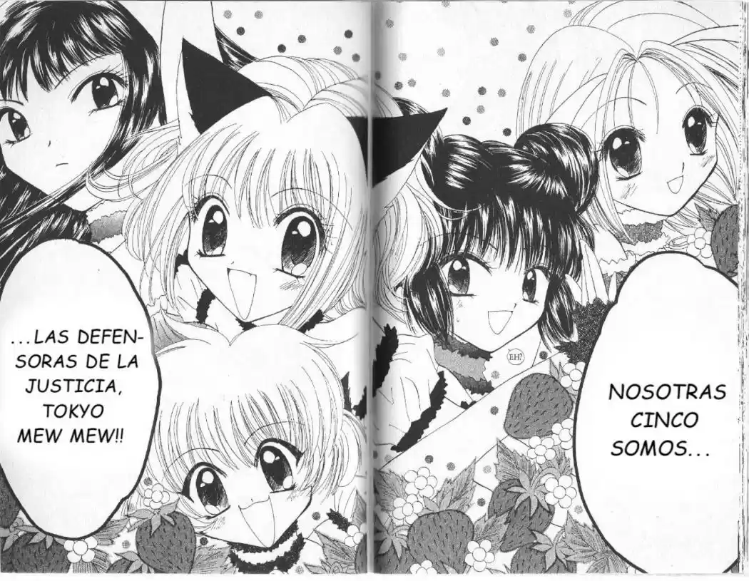 Tokyo Mew Mew (Mew Mew Power) (2000) - Capítulo 8 - Página 17 - LectorTMOo