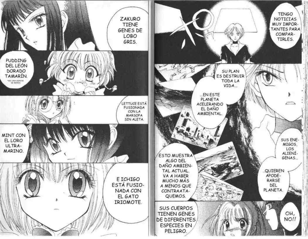 Tokyo Mew Mew (Mew Mew Power) (2000) - Capítulo 9 - Página 8 - LectorTMOo