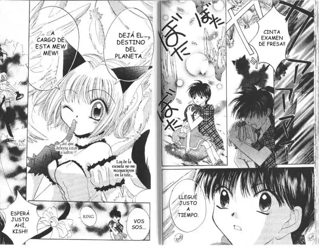 Tokyo Mew Mew (Mew Mew Power) (2000) - Capítulo 9 - Página 13 - LectorTMOo