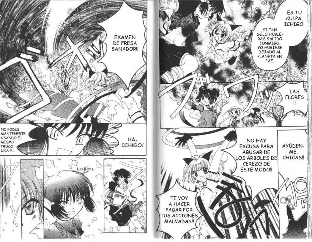 Tokyo Mew Mew (Mew Mew Power) (2000) - Capítulo 9 - Página 14 - LectorTMOo
