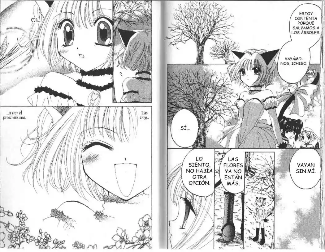 Tokyo Mew Mew (Mew Mew Power) (2000) - Capítulo 9 - Página 15 - LectorTMOo
