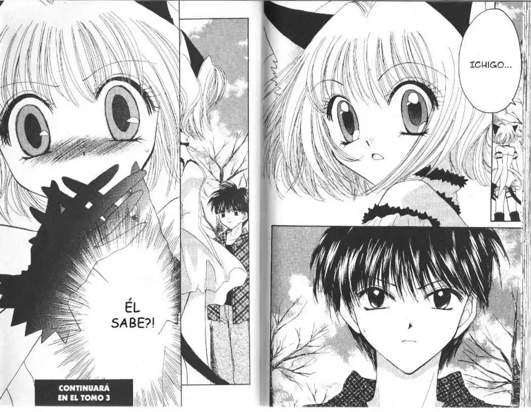 Tokyo Mew Mew (Mew Mew Power) (2000) - Capítulo 9 - Página 16 - LectorTMOo