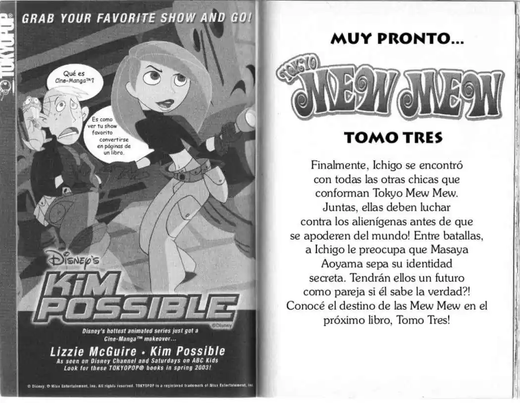 Tokyo Mew Mew (Mew Mew Power) (2000) - Capítulo 9 - Página 17 - LectorTMOo