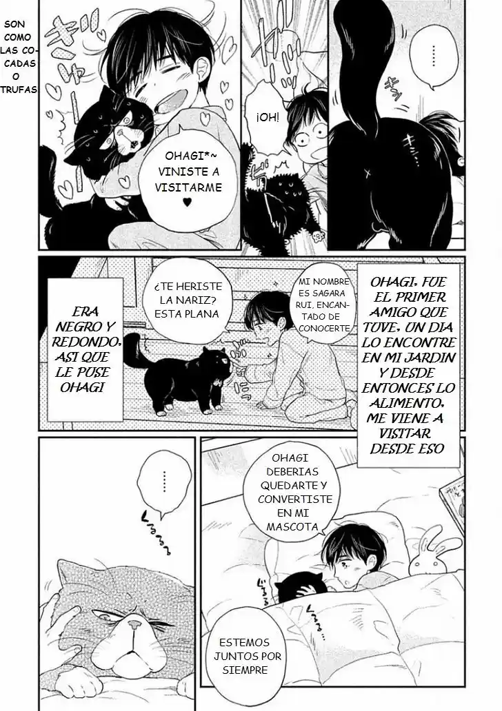 Tonde Hi ni Iru Natsu no Neko (2017) - Capítulo 4 - Página 6 - LectorTMOo