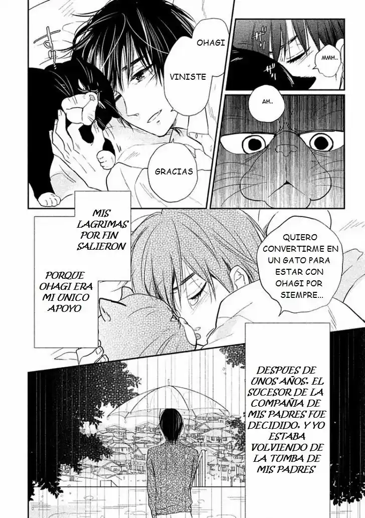 Tonde Hi ni Iru Natsu no Neko (2017) - Capítulo 4 - Página 8 - LectorTMOo