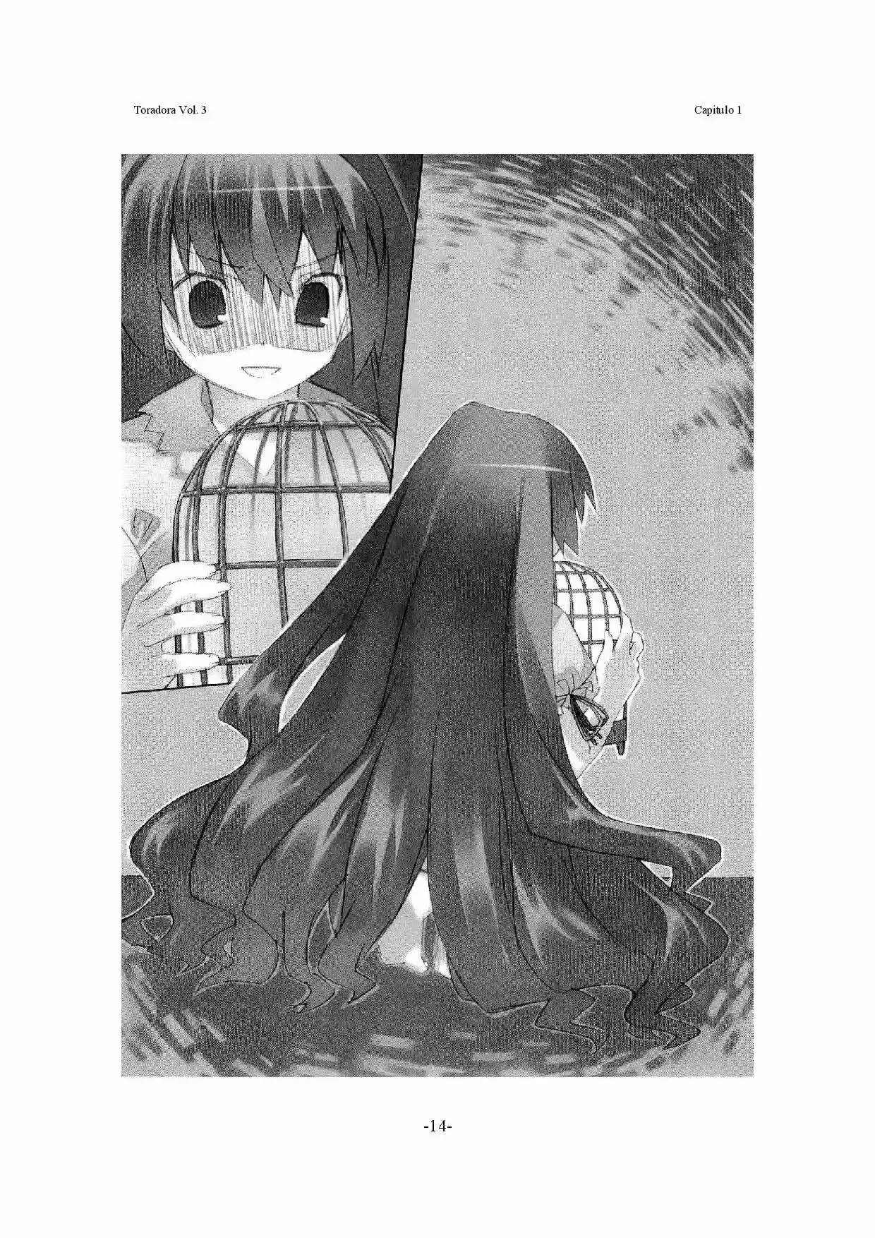 Toradora! (2006) - Capítulo 13 - Página 22 - LectorTMOo