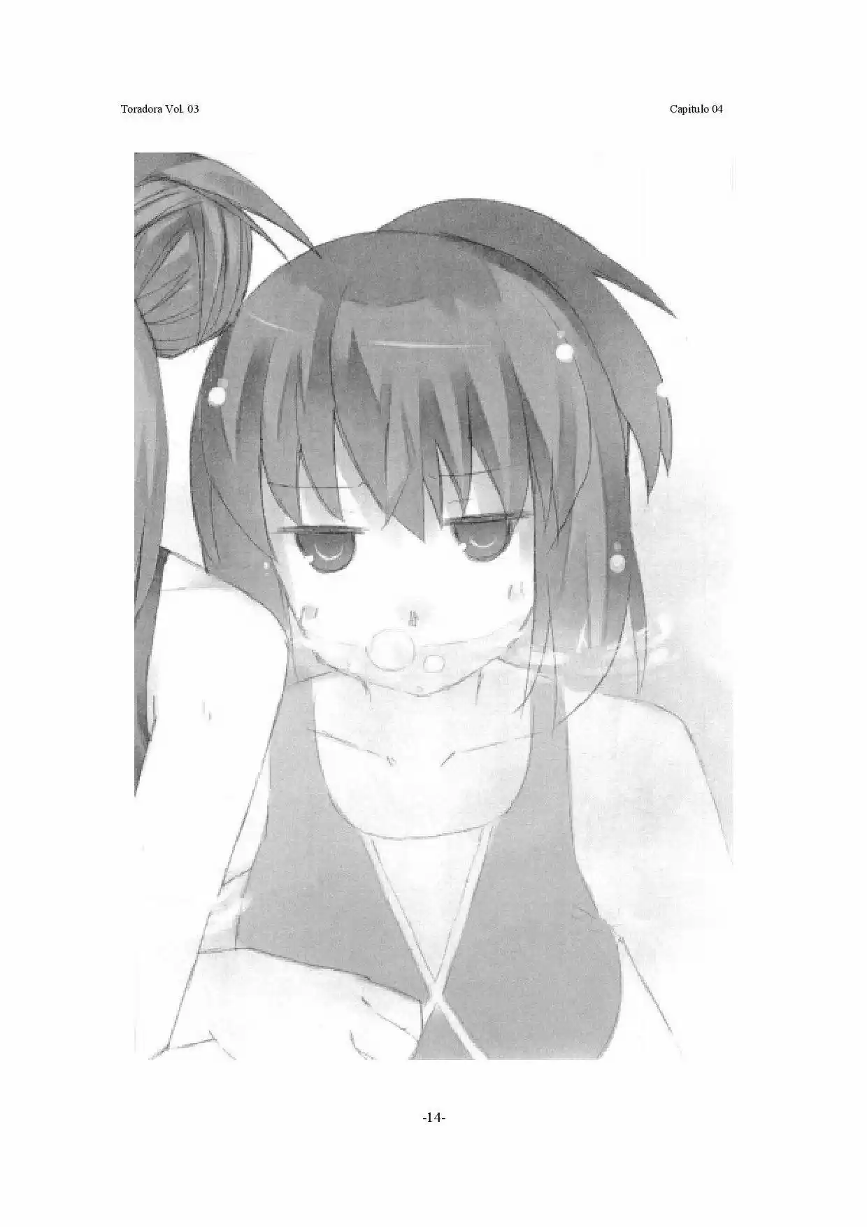 Toradora! (2006) - Capítulo 16 - Página 14 - LectorTMOo