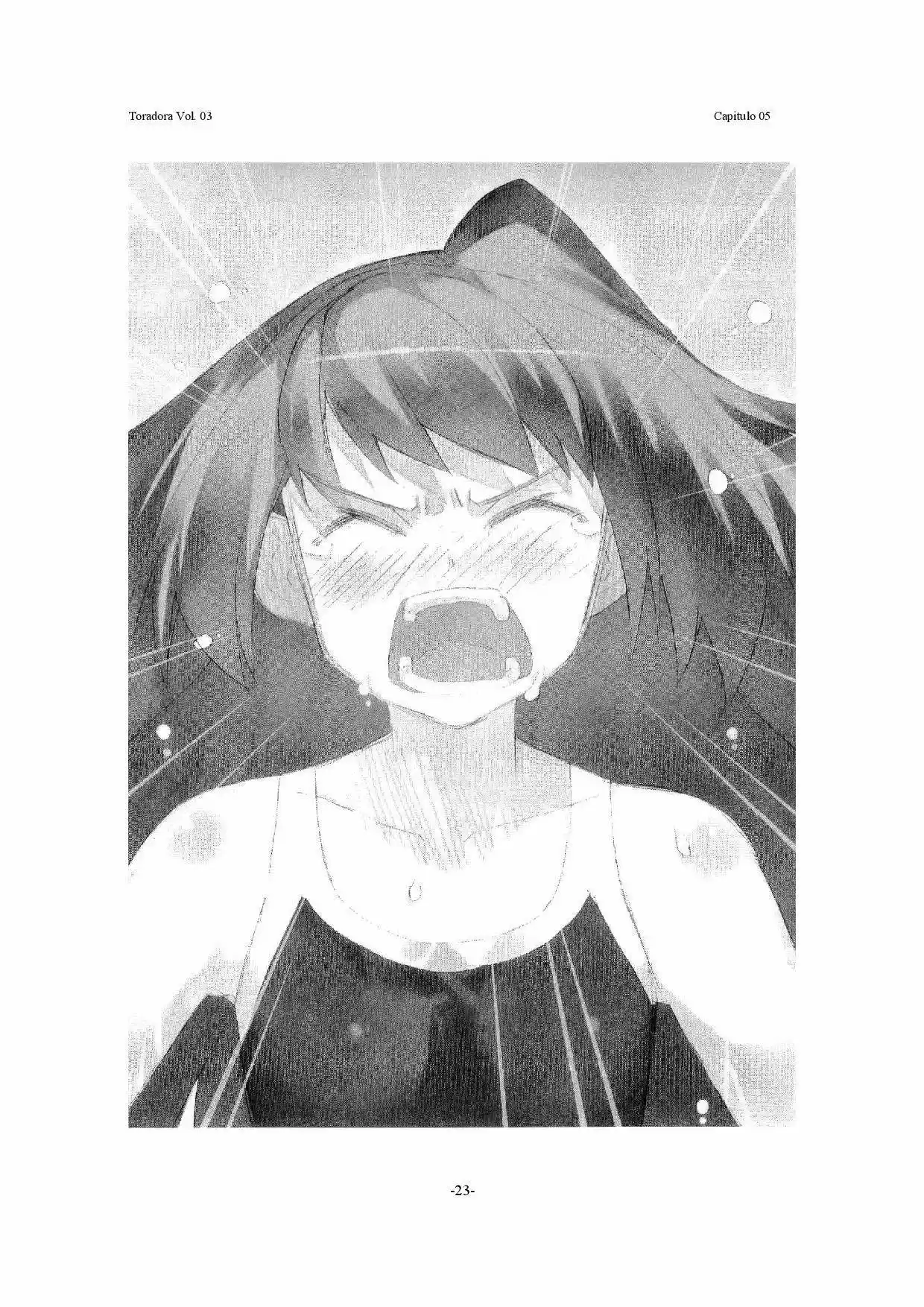 Toradora! (2006) - Capítulo 17 - Página 23 - LectorTMOo