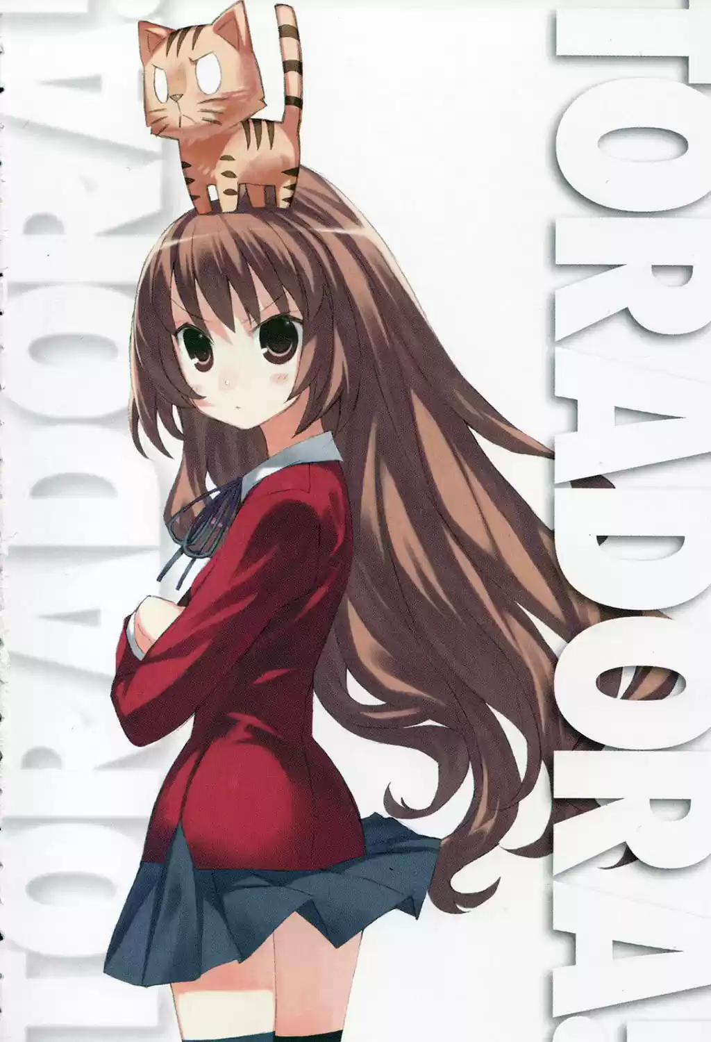 Toradora! (2006) - Capítulo 49 - Página 5 - LectorTMOo