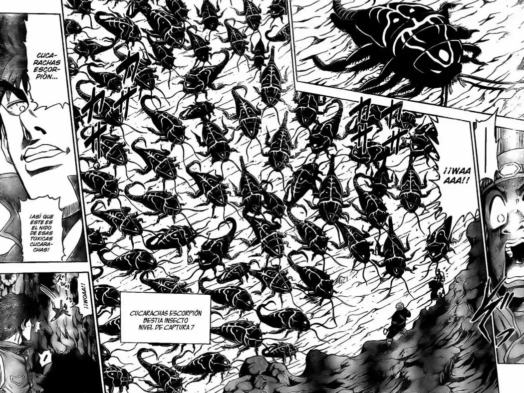 Toriko (2008) - Capítulo 10 - Página 13 - LectorTMOo