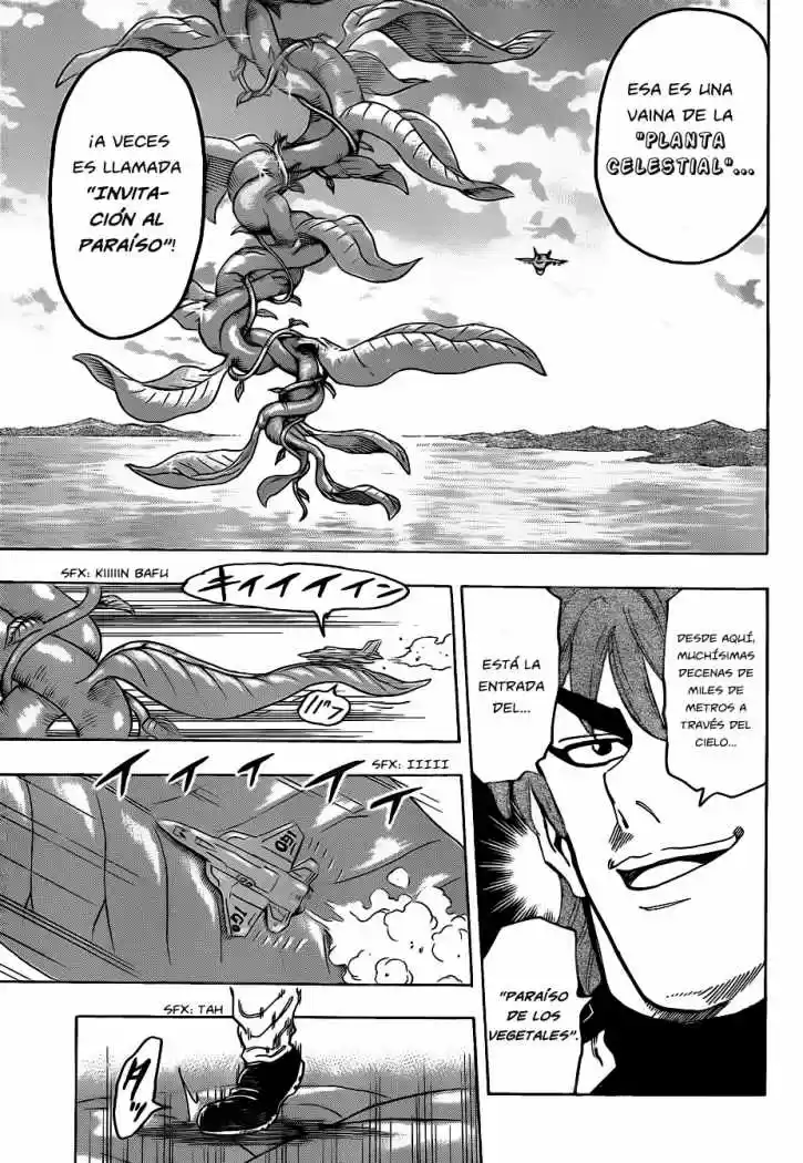 Toriko (2008) - Capítulo 103 - Página 17 - LectorTMOo