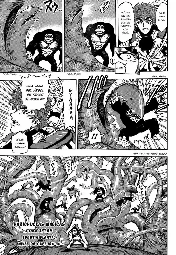 Toriko (2008) - Capítulo 104 - Página 13 - LectorTMOo
