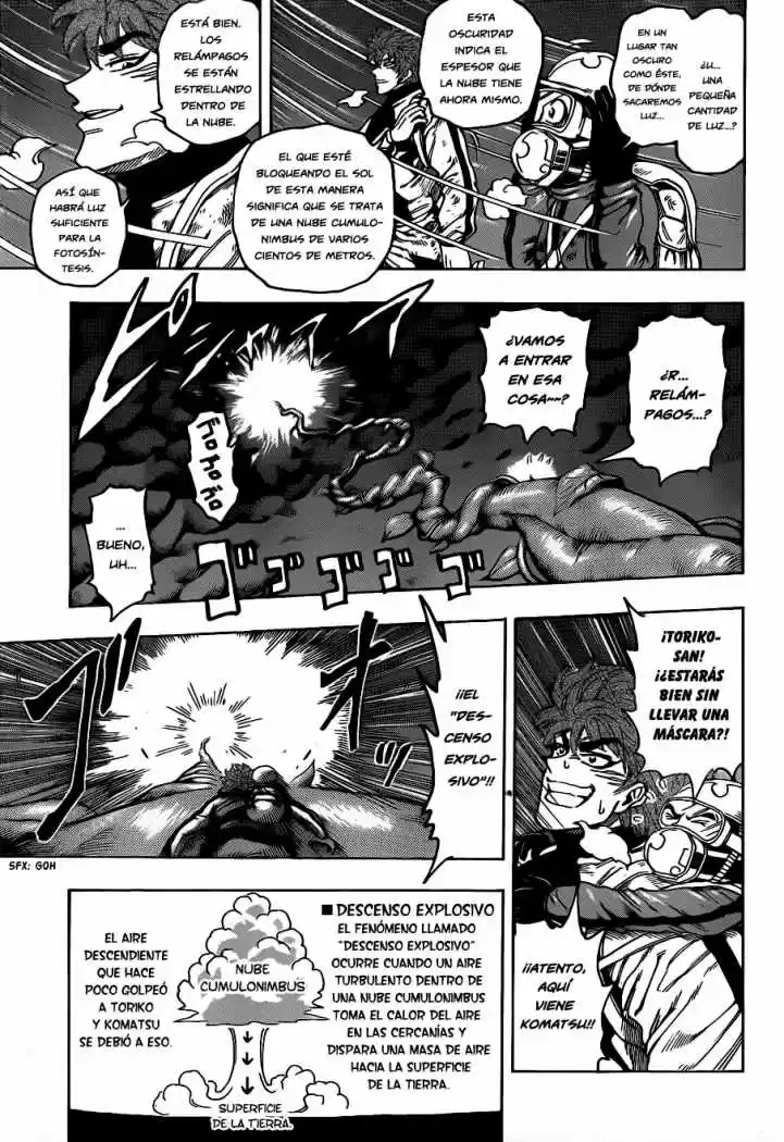 Toriko (2008) - Capítulo 105 - Página 5 - LectorTMOo
