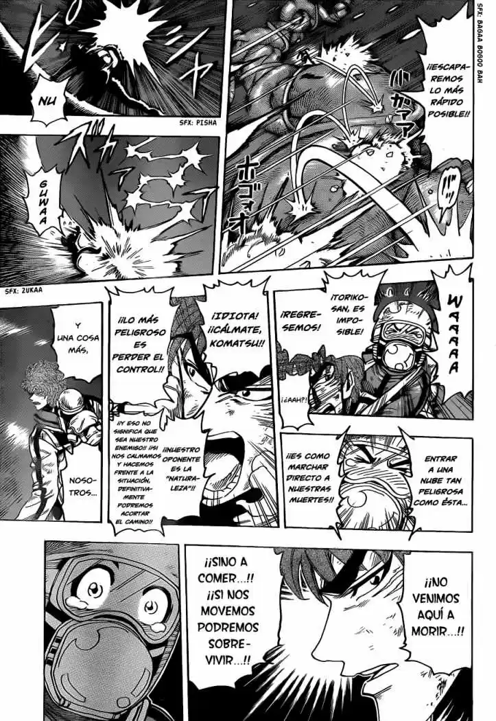 Toriko (2008) - Capítulo 105 - Página 9 - LectorTMOo