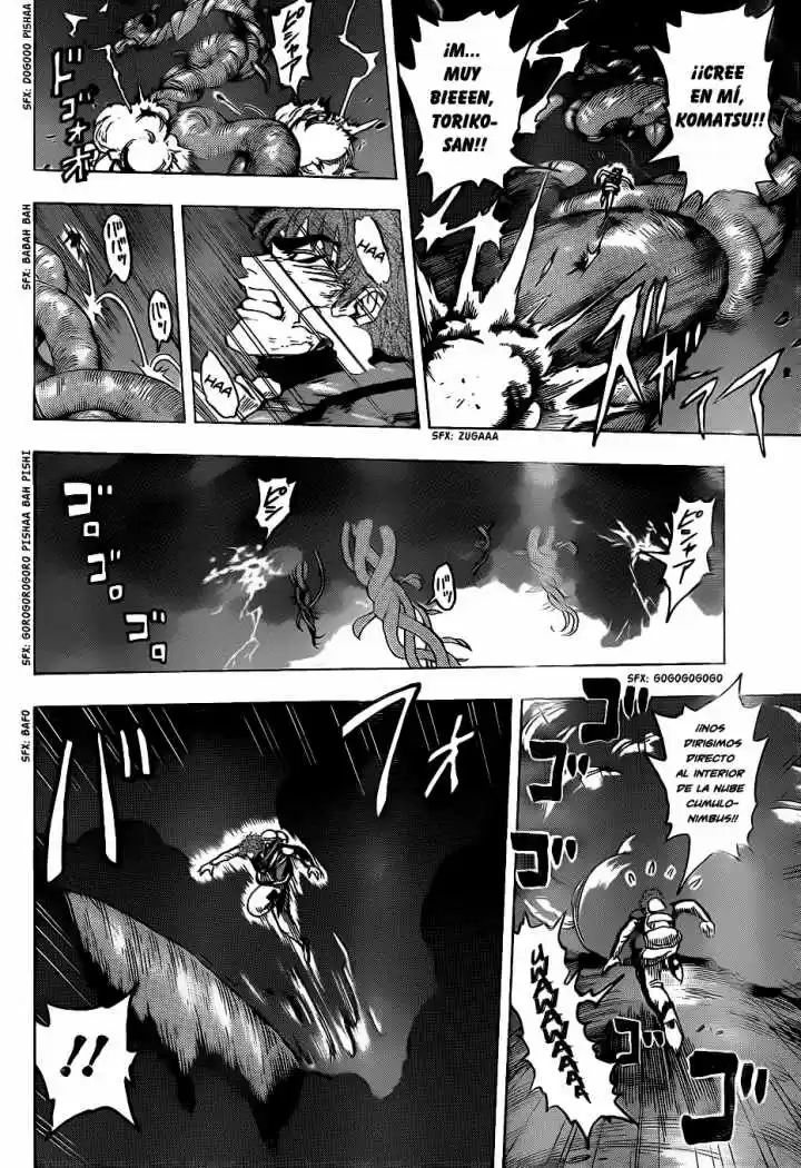Toriko (2008) - Capítulo 105 - Página 10 - LectorTMOo