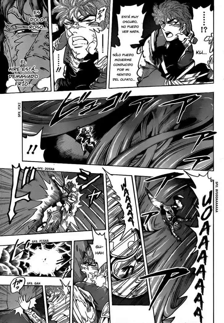 Toriko (2008) - Capítulo 105 - Página 11 - LectorTMOo
