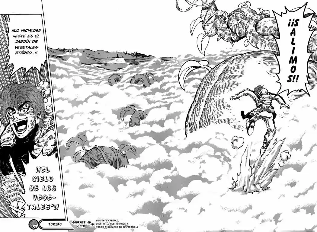 Toriko (2008) - Capítulo 105 - Página 18 - LectorTMOo