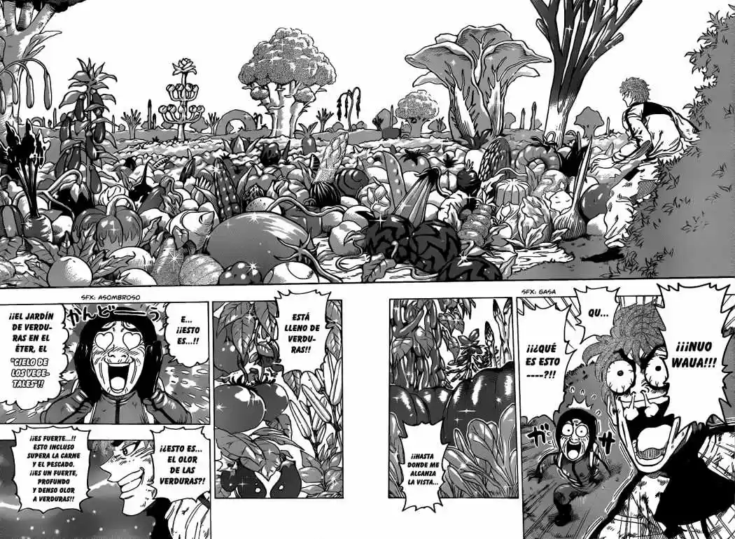 Toriko (2008) - Capítulo 106 - Página 10 - LectorTMOo