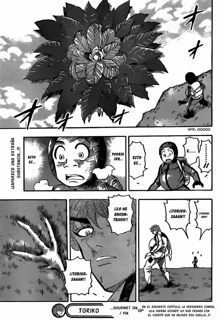 Toriko (2008) - Capítulo 106 - Página 18 - LectorTMOo