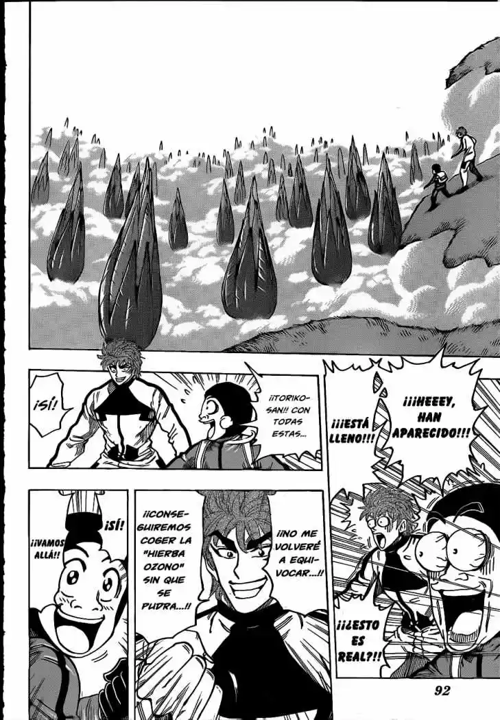 Toriko (2008) - Capítulo 107 - Página 13 - LectorTMOo