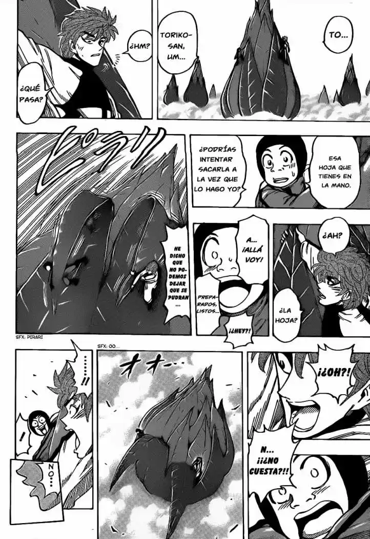 Toriko (2008) - Capítulo 107 - Página 17 - LectorTMOo