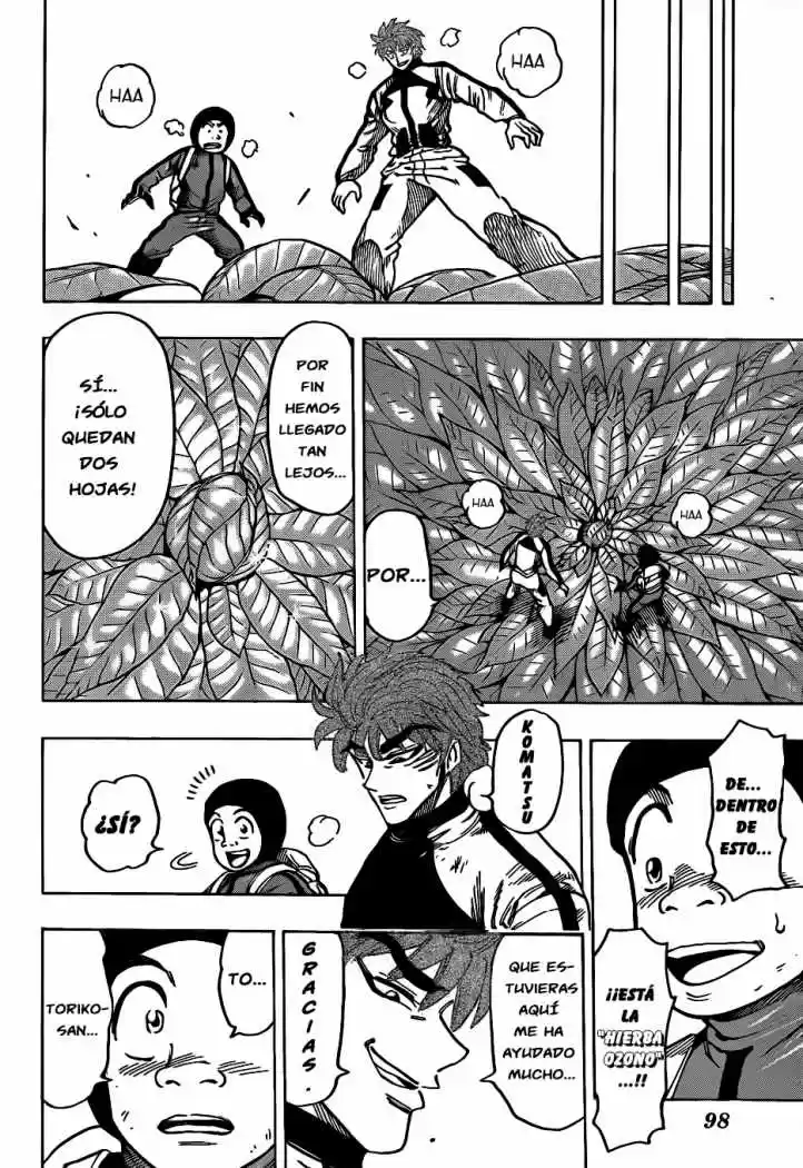 Toriko (2008) - Capítulo 107 - Página 19 - LectorTMOo