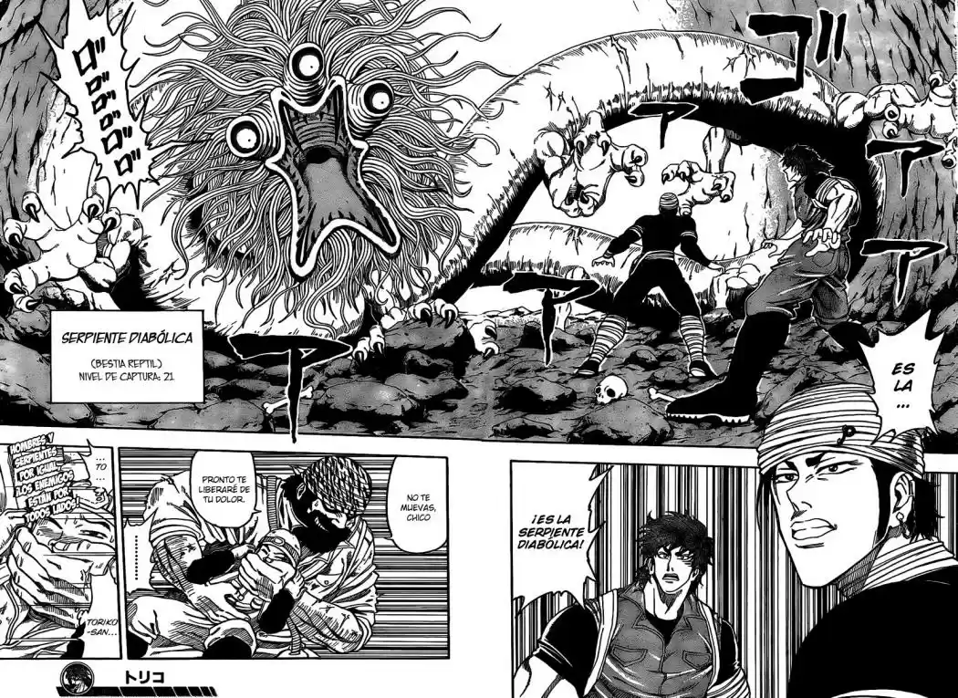 Toriko (2008) - Capítulo 11 - Página 18 - LectorTMOo