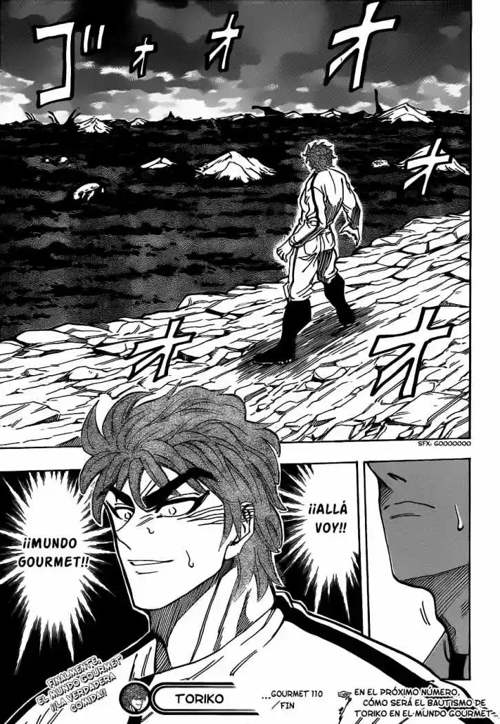 Toriko (2008) - Capítulo 110 - Página 18 - LectorTMOo