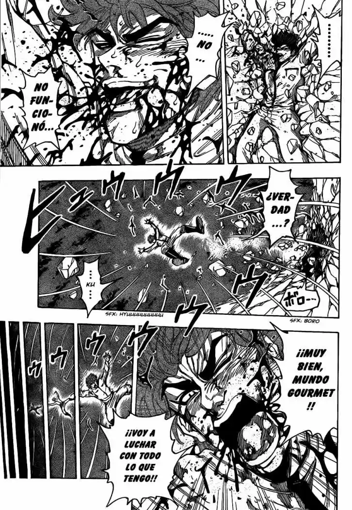 Toriko (2008) - Capítulo 111 - Página 15 - LectorTMOo