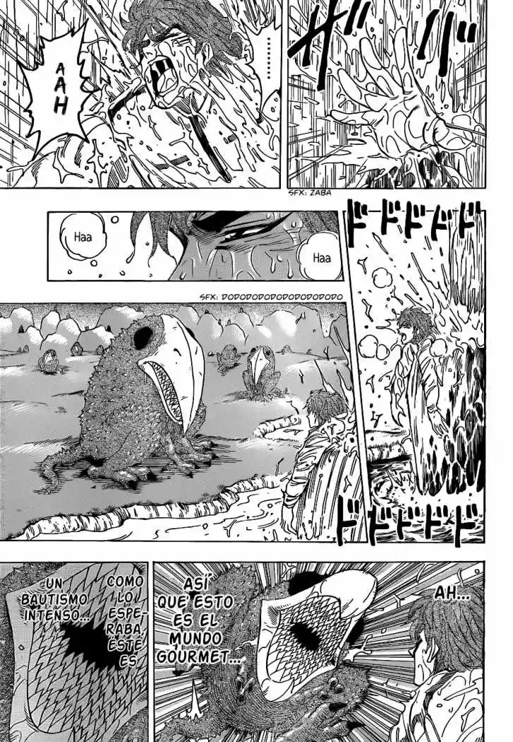Toriko (2008) - Capítulo 112 - Página 18 - LectorTMOo