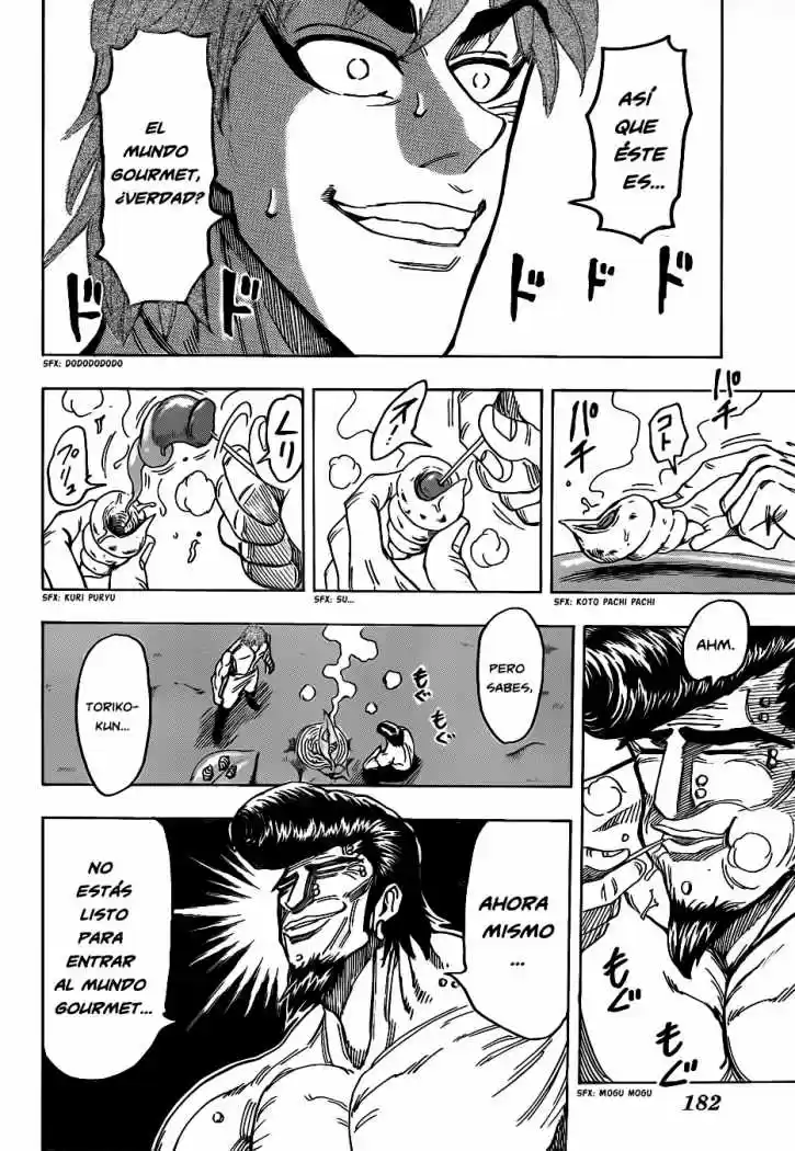 Toriko (2008) - Capítulo 113 - Página 17 - LectorTMOo