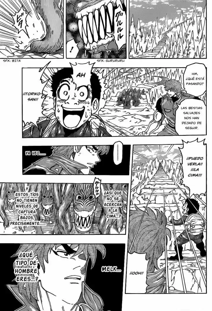 Toriko (2008) - Capítulo 115 - Página 11 - LectorTMOo