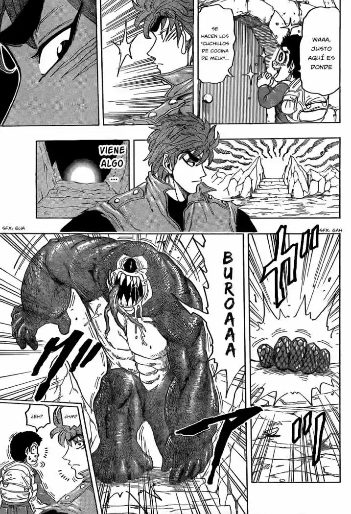 Toriko (2008) - Capítulo 115 - Página 15 - LectorTMOo