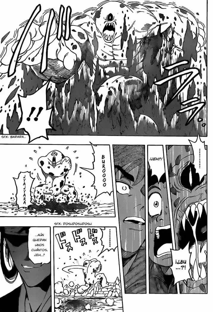 Toriko (2008) - Capítulo 115 - Página 17 - LectorTMOo