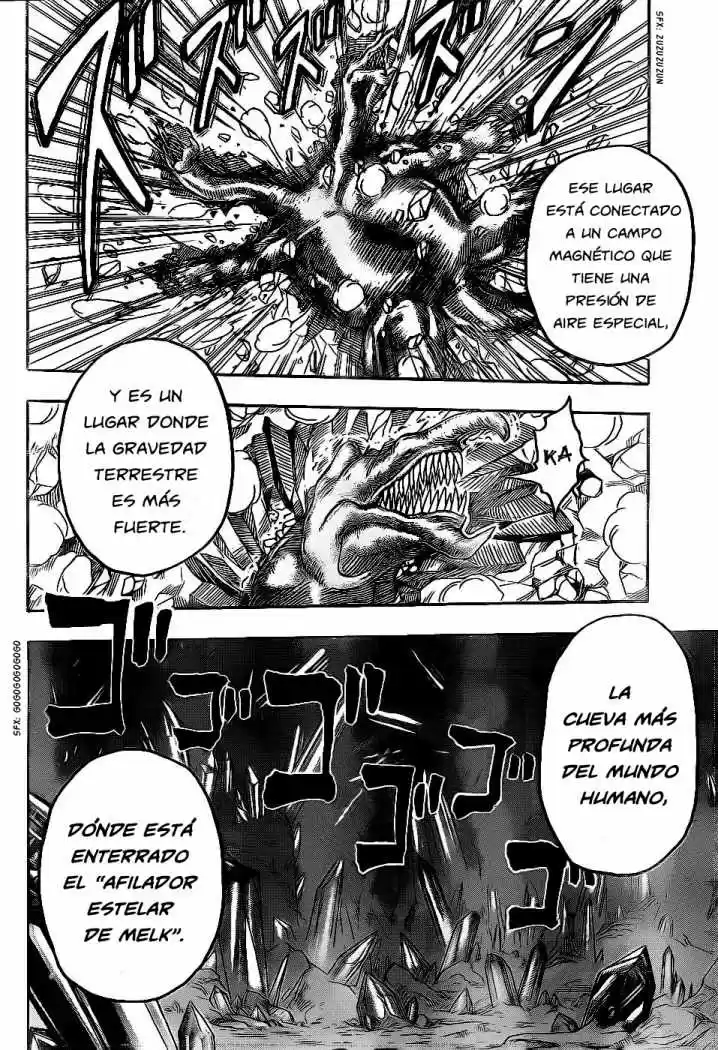 Toriko (2008) - Capítulo 117 - Página 19 - LectorTMOo