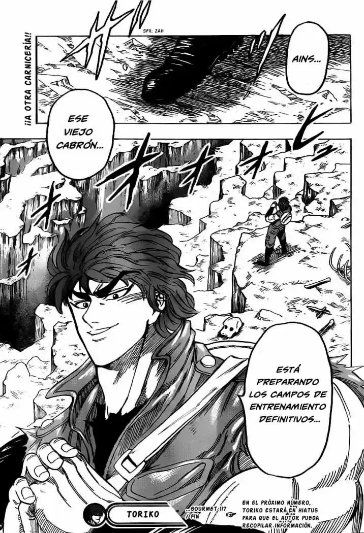 Toriko (2008) - Capítulo 117 - Página 20 - LectorTMOo