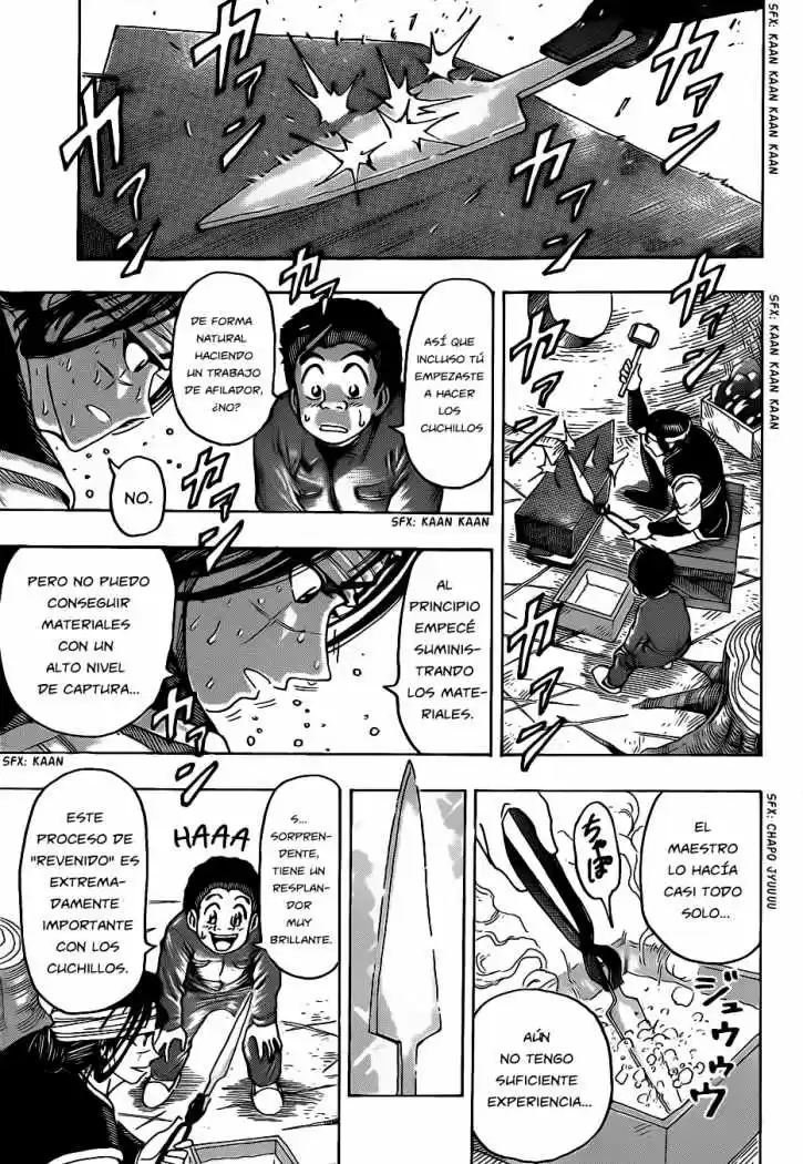 Toriko (2008) - Capítulo 119 - Página 15 - LectorTMOo