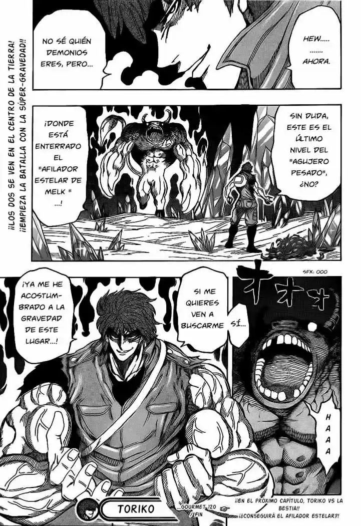 Toriko (2008) - Capítulo 120 - Página 19 - LectorTMOo
