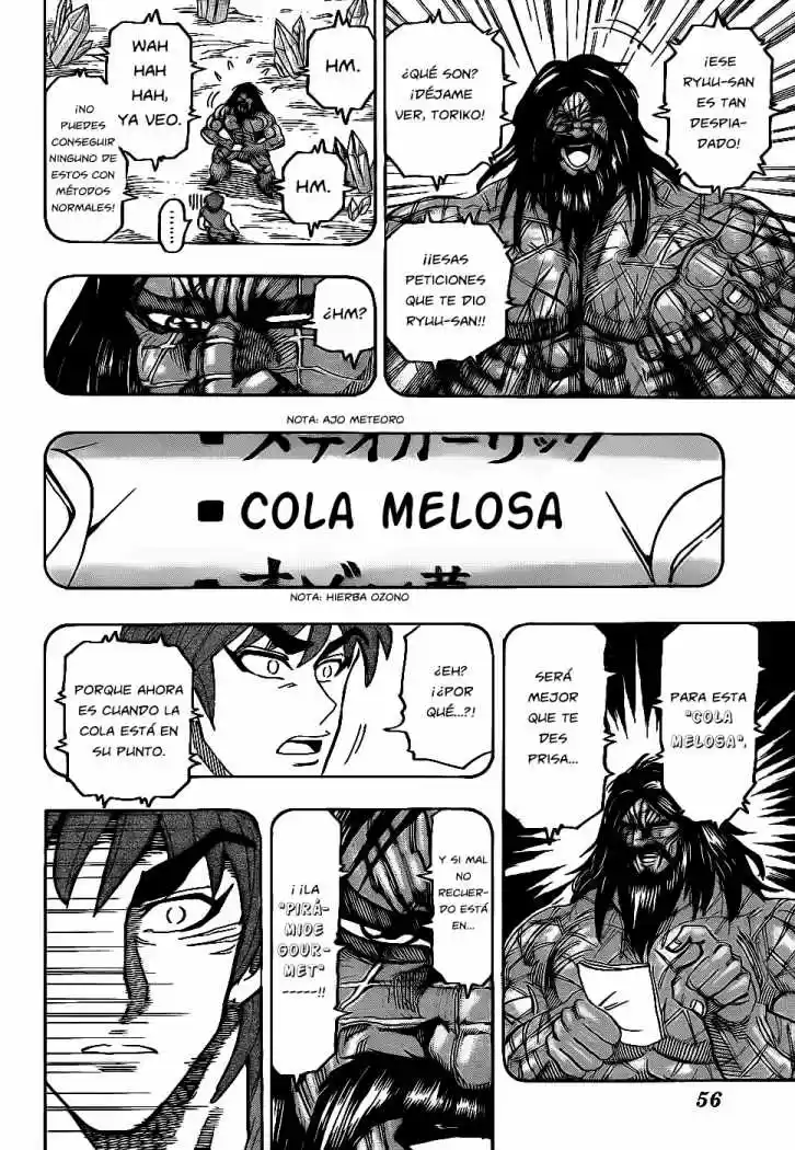 Toriko (2008) - Capítulo 123 - Página 17 - LectorTMOo
