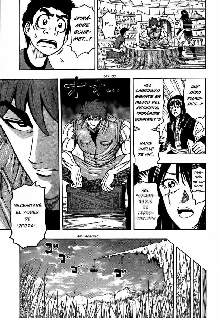 Toriko (2008) - Capítulo 123 - Página 18 - LectorTMOo