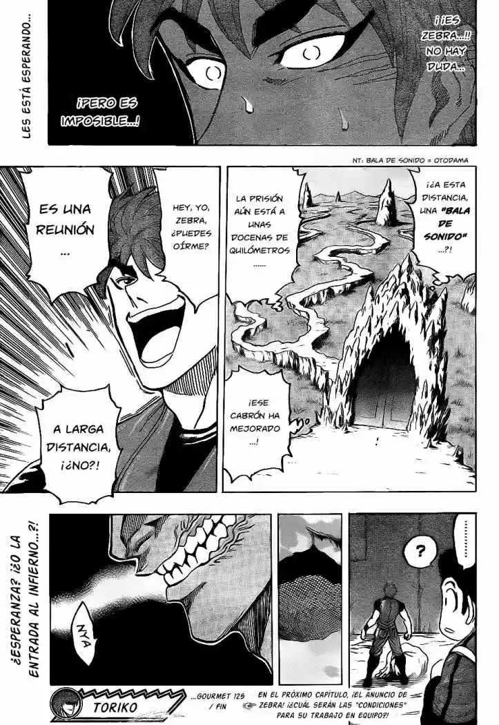 Toriko (2008) - Capítulo 125 - Página 18 - LectorTMOo
