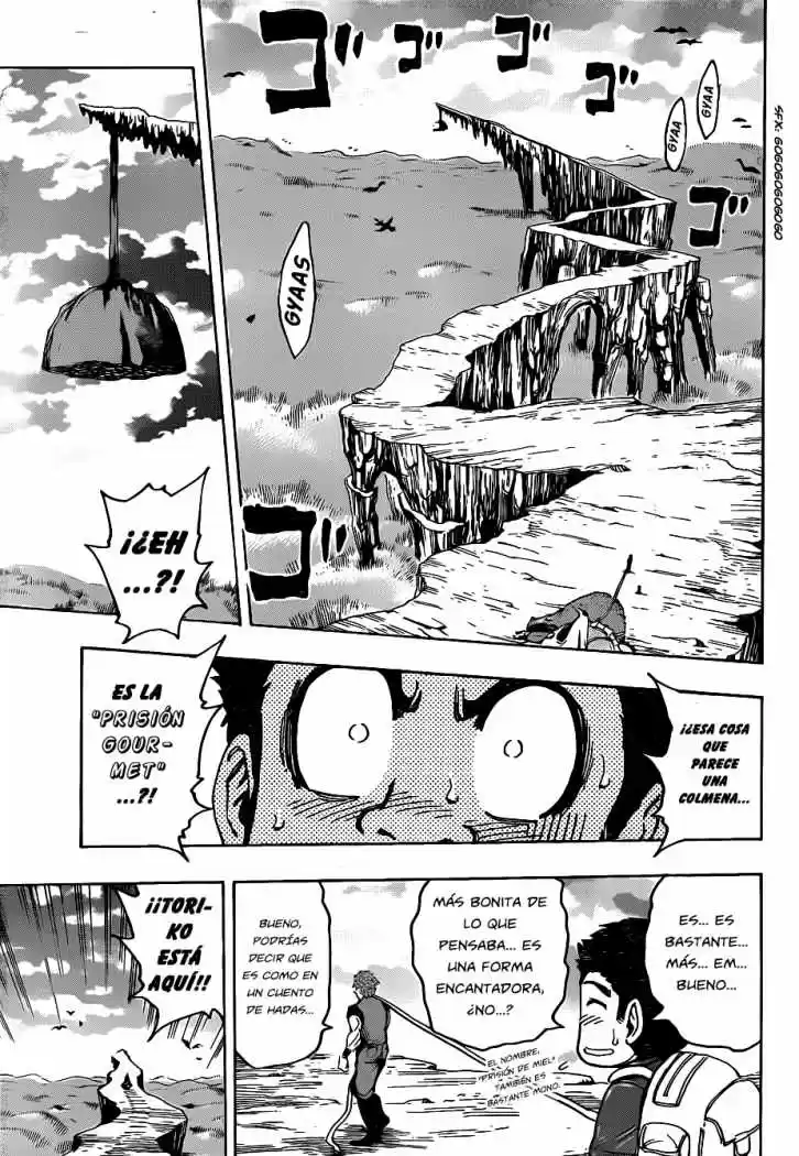 Toriko (2008) - Capítulo 126 - Página 4 - LectorTMOo